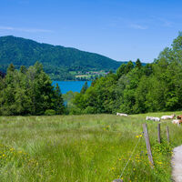 Tegernseer Höhenweg