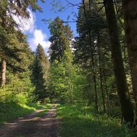 Sternenweg zur Sternwarte Lèbe