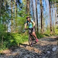 Waldweg, der zur Fuksova-Brücke führt