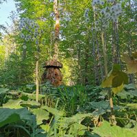 Naturschauplätze am Gößler Rundweg