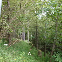 Wanderweg/-steig