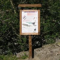 Einer der Tafeln des Lehrpfads „Impariamo a osservare“