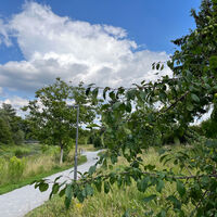 Auenpark (3)