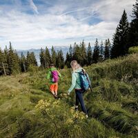 Wanderung Richtung Stanglalm