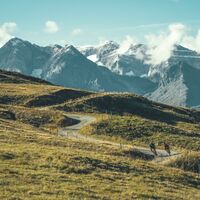 Bei der Alp Stavonas oberhalb Obersaxen