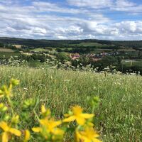Quincunx Wanderweg Bebra Rotmilan 1