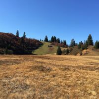 Moorgebiet auf dem Furnerberg