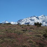 Sicht auf den Piz Bernina und Piz Corvatsch