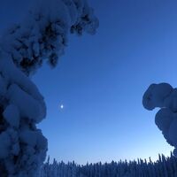 Das Knattern der Kälte bei Pöllylampi, Vuokatti