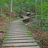Tretschbachtal-Stege