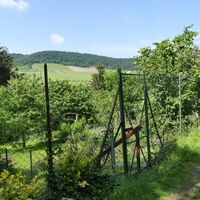 Gärten mit Blick auf den Pfefferberg