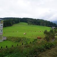 Radknotenpunkt 94 und zurück am Wanderweg 521
