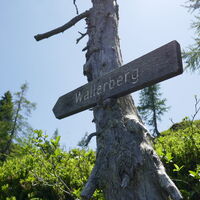 die Abzweigung