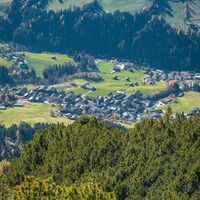 Ausblick Gratlspitze Latschen Trailrunning