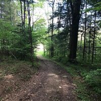 Papst-Franziskus Pilgerweg, Oststeiermark