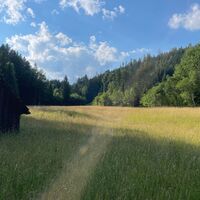 L3 Rinnerberger Trail
