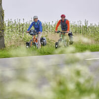 Radfahrende entlang der Obstbäume