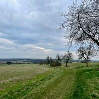 Rundweg am Goethestein