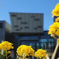 Fachhochschule Salzburg - Campus Puch Urstein