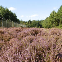 Heideflächen im Osten des NORDPFADES Hinzel
