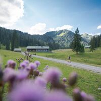Die Schwarzentenn-Alm