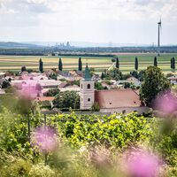 Blick auf Stixneusiedl