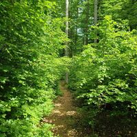 Weiterweg zur Kleinen Kanzel