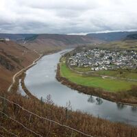 Blick von der Drieschhütte auf Pünderich und die Marienburg