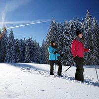 Verschneite Landschaft am Brüggelekopf