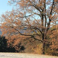 Aussicht am Breiteggerweg, St. Ruprecht an der Raab, Oststeiermark