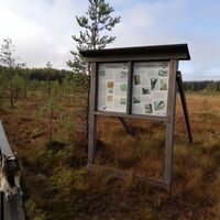 SUMPFGEBIET HÄMMÄAUTEENSUO