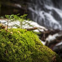 Moos Sulmwasserfall