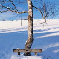 Winterwanderung Kammerl Runde