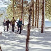 Schneeschuhwanderung in Reith i. A.