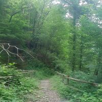 2. Brücke auf die linke Bachseite