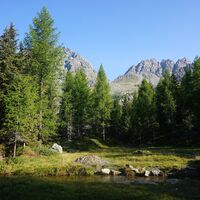 Richtung Campomoro