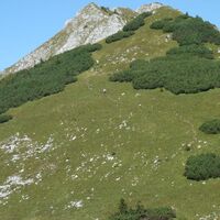 Blick zum Großen Wildkamm