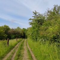 Wanderweg Rund um Dalem