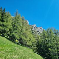 Blick zum Paulaturm