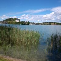 Blick auf Schloss Mattsee