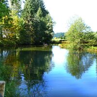 Moorweiher am Wegesrand
