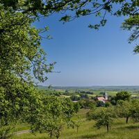 Blick auf Medelsheim