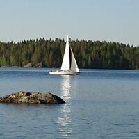 Lammassaari