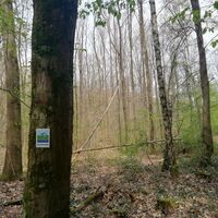 Bienwald-Brunnenweg im Bienwald