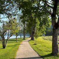 Uferweg entlang des Achensees im Bereich des Achenseehof-Areals in Achenkirch