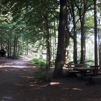 Dreimarker