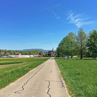 Radweg im Rheintal