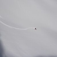 Skitour-Feeling Kleinwalsertal