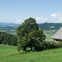 Aussicht Schönenbrunnen - Belpbergroute