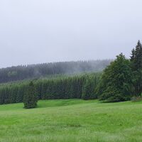 Bergwiese Spitalgrund im Thüringer Wald